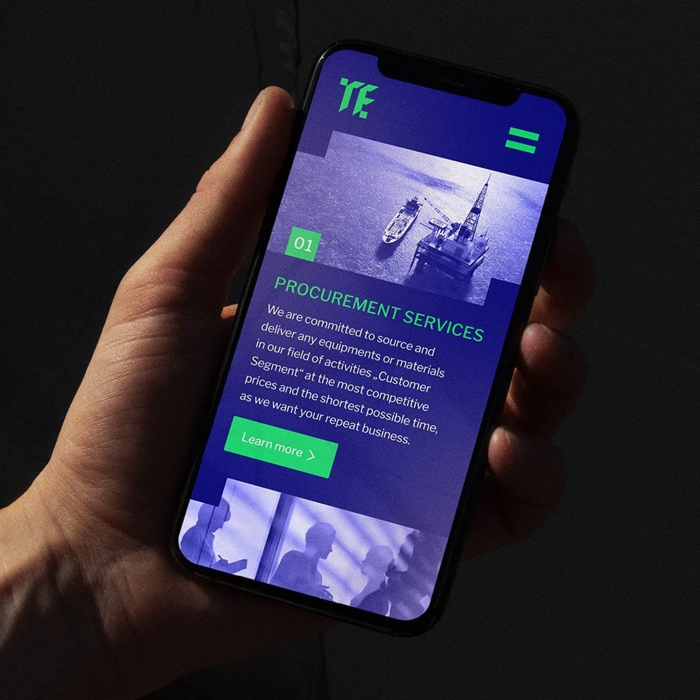 Professional website business